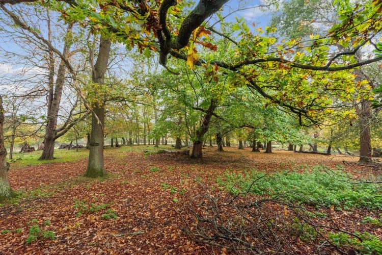 Images for Fallowfield, STANMORE, Middlesex